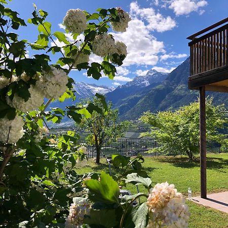 Aparthotel Der Blaue Reiter Scena Exterior foto